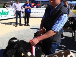 2019_ausstellung polling_560